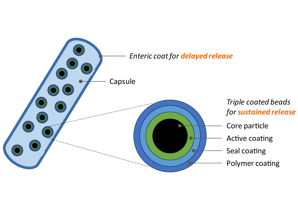 [MISSING IMAGE: tv533987_twocomponents2.jpg]