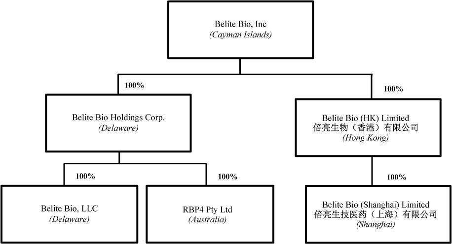 [MISSING IMAGE: tm2132809d1-fc_beltebw.jpg]