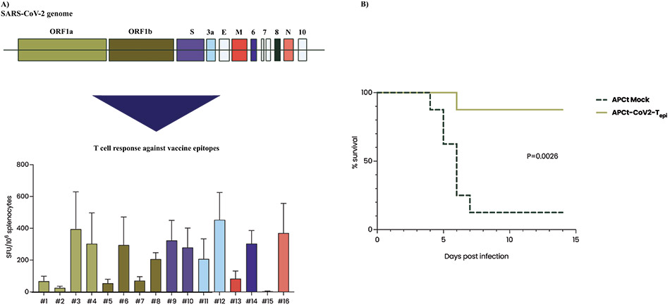 [MISSING IMAGE: bc_fig51tcellresponse-4c.jpg]