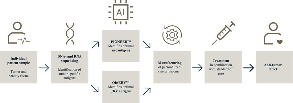 [MISSING IMAGE: fc_fig15pioneer-4c.jpg]