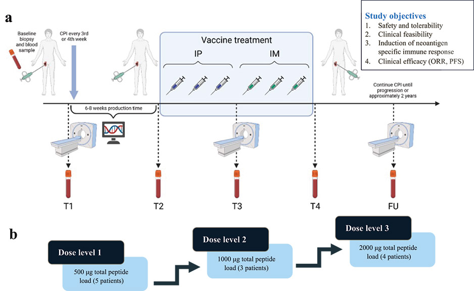 [MISSING IMAGE: fc_fig17vaccine-4clr.jpg]