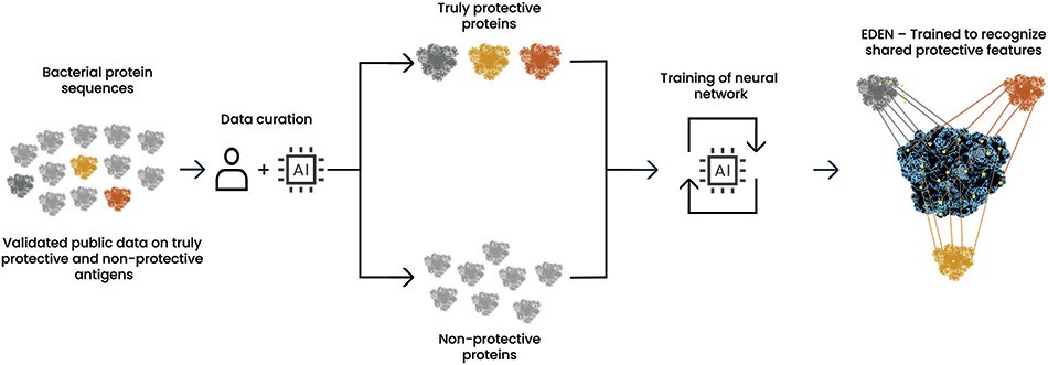 [MISSING IMAGE: ph_fig35bacterial-4c.jpg]