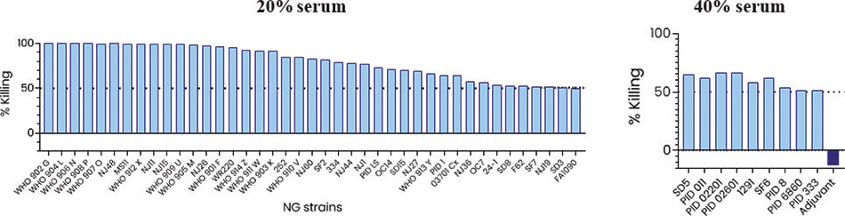 [MISSING IMAGE: bc_ngstrains-4clr.jpg]