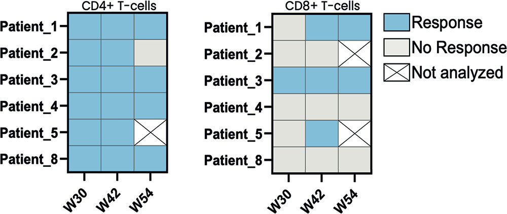 [MISSING IMAGE: fc_cd4cd8cells-4c.jpg]