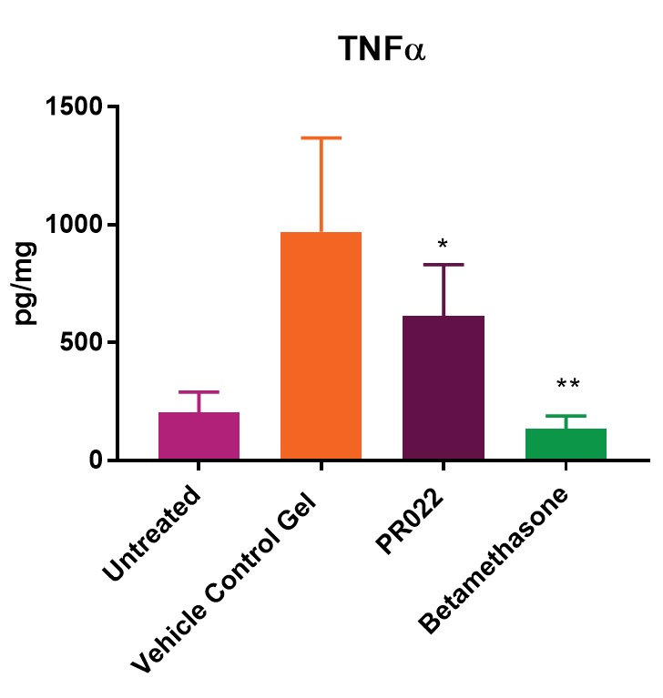 tnfa1.jpg