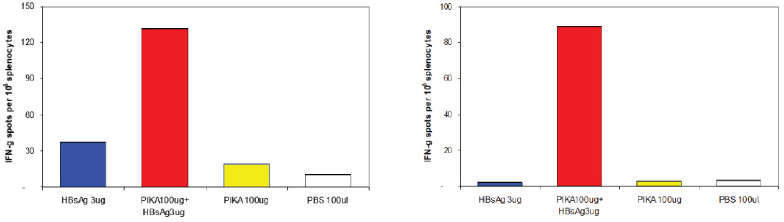 [MISSING IMAGE: tm2226545d7-bc_17figure4clr.jpg]