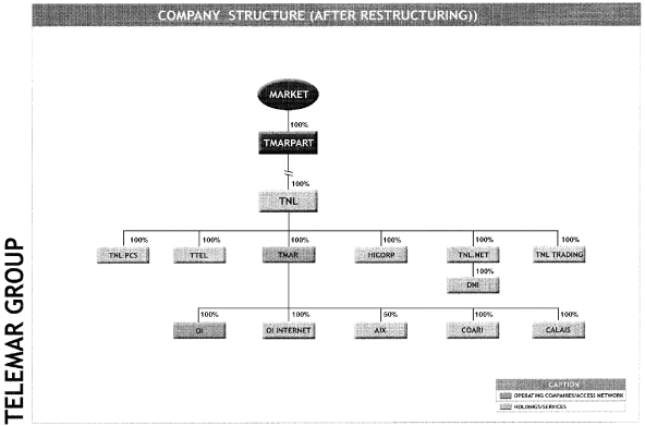 (COMPANY STRUCTURE CHART)