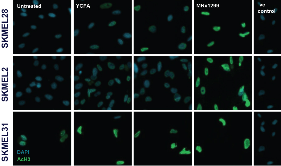 [MISSING IMAGE: tm2036619d3-pht_fig124c.jpg]