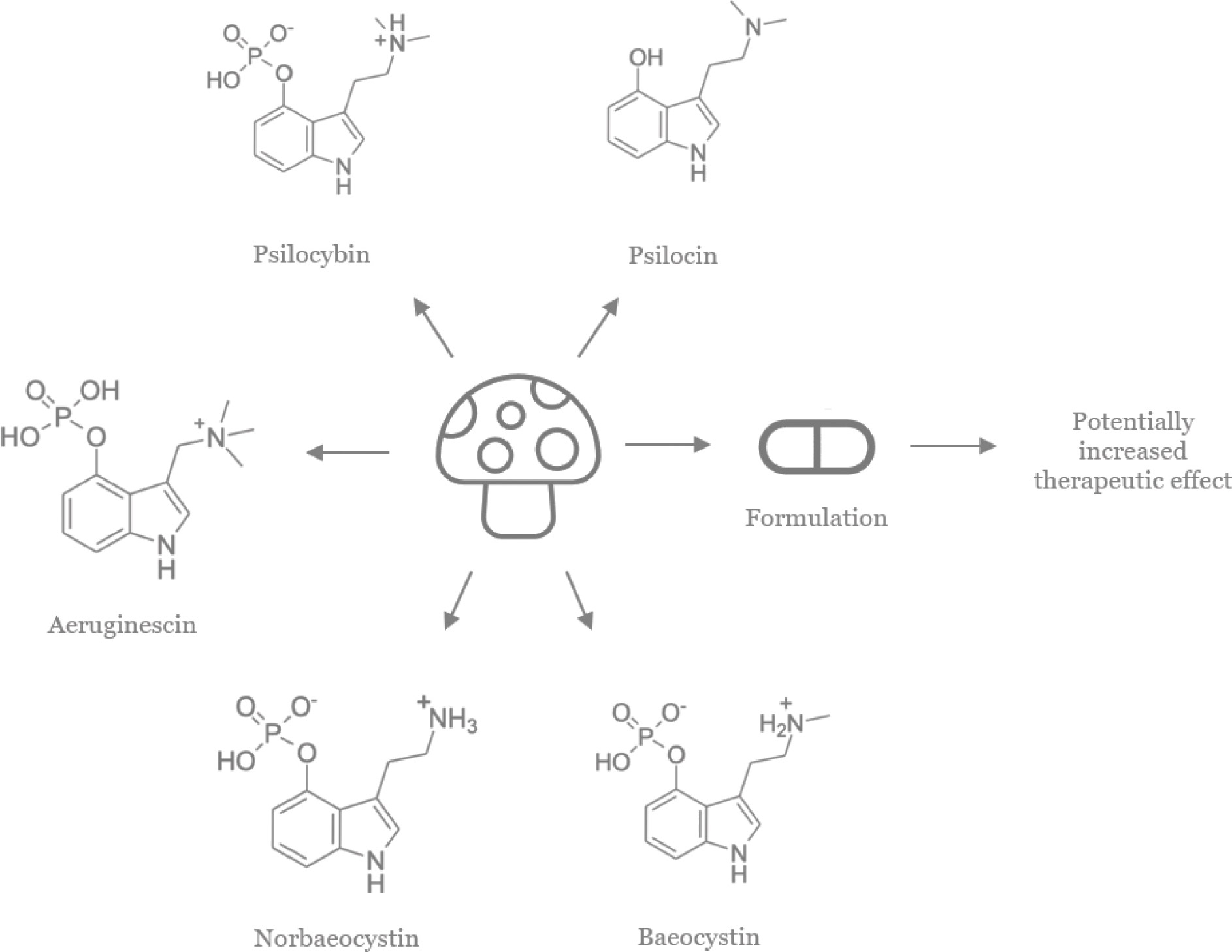 [MISSING IMAGE: fc_chemdraw-bwlr.jpg]