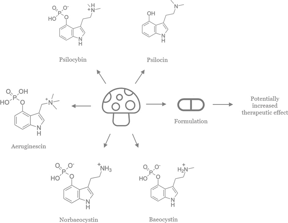 [MISSING IMAGE: fc_chemdraw-bwlr.jpg]