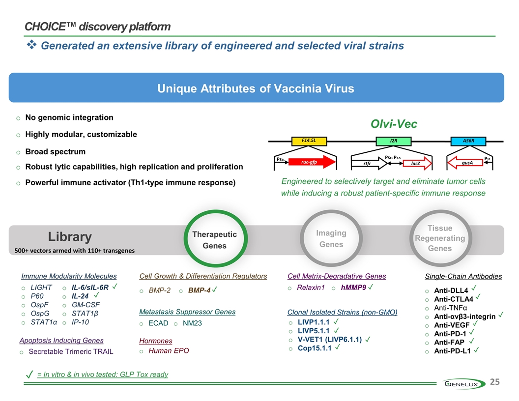 Slide 25