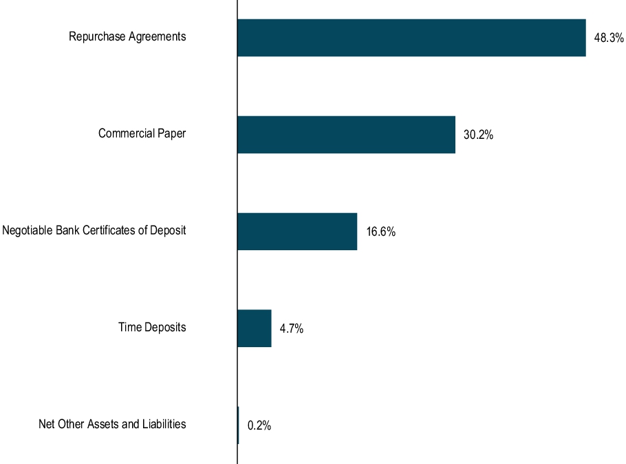 Graphical Representation - Top N Holdings Chart