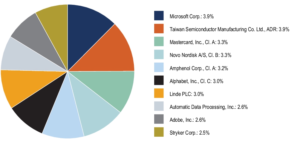 Graphical Representation - Top N Holdings Chart