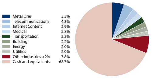 Amana Developing World Fund: Industry Allocation