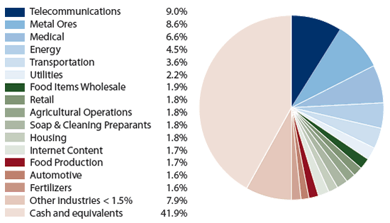 Amana Developing World Fund: Industry Allocation