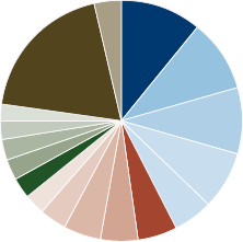 Amana Growth Fund Portfolio Diversification