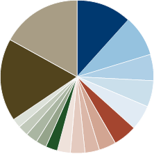 Amana Developing World Fund Portfolio Diversification