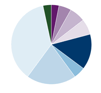 Amana Developing World Fund Portfolio Diversification