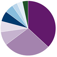 Amana Developing World Fund Portfolio Diversification