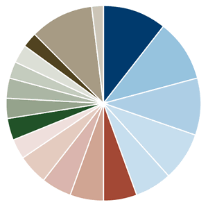 Amana Growth Fund Portfolio Diversification