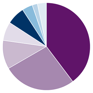 Amana Participation Fund Portfolio Diversification