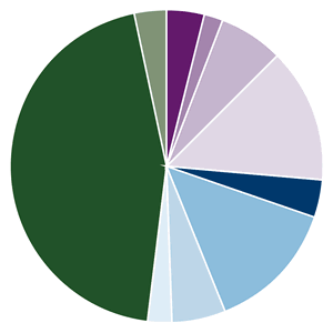 Amana Participation Fund Sukuk Quality Diversification