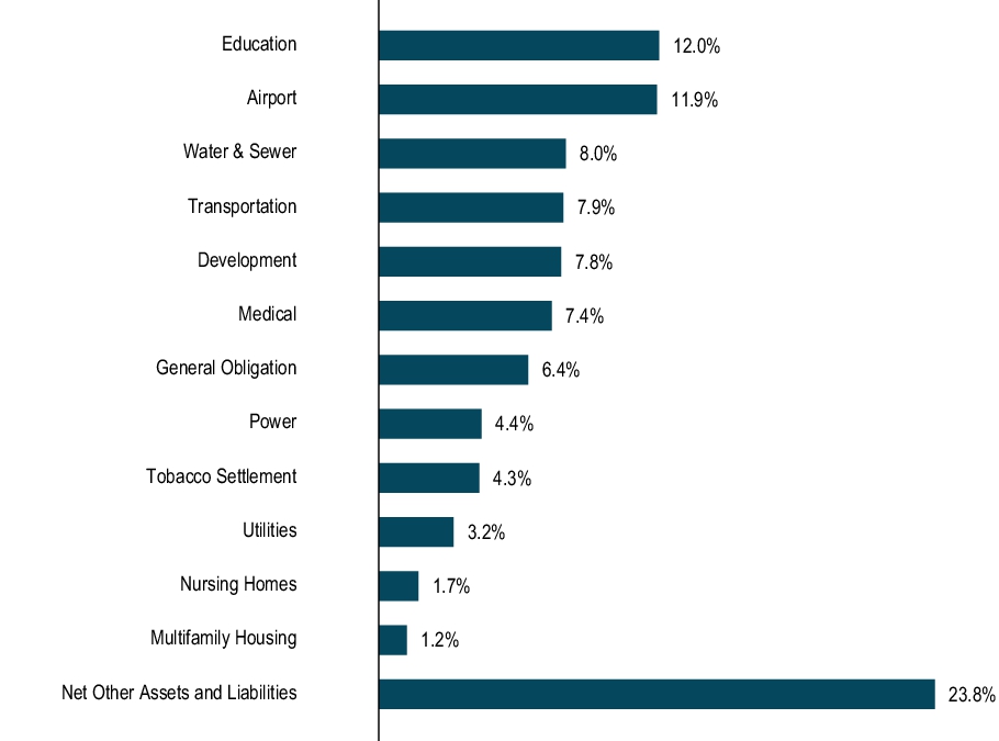 Graphical Representation - Top N Holdings Chart