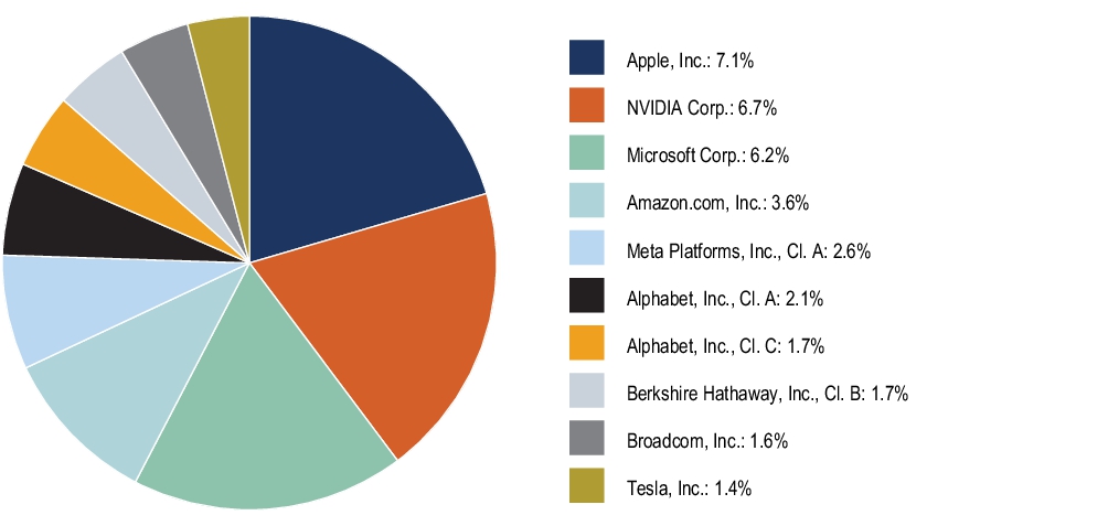 Graphical Representation - Top N Holdings Chart