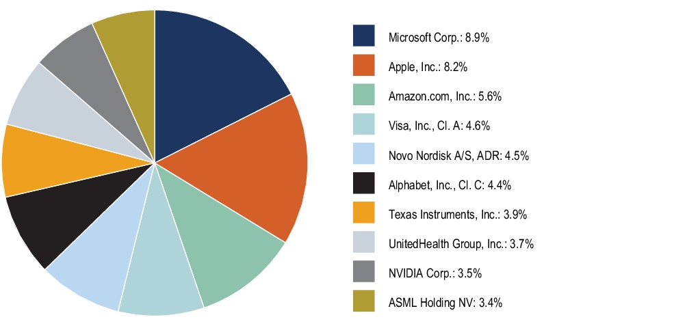 Graphical Representation - Top N Holdings Chart