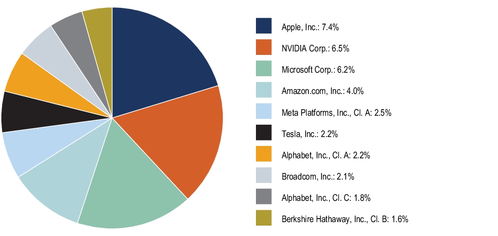 Graphical Representation - Top N Holdings Chart