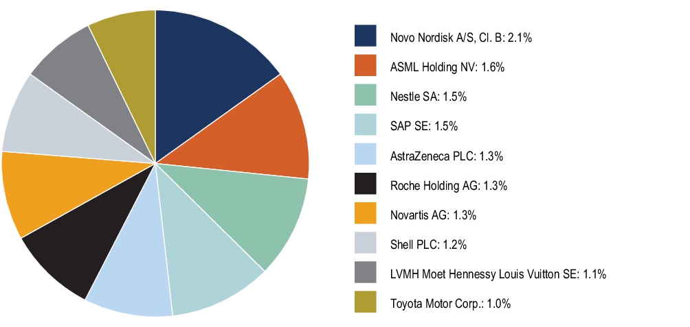 Graphical Representation - Top N Holdings Chart