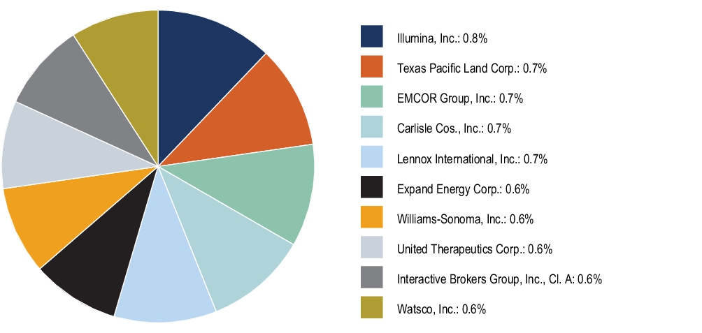 Graphical Representation - Top N Holdings Chart