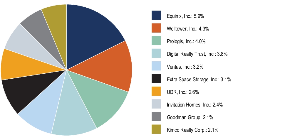 Graphical Representation - Top N Holdings Chart