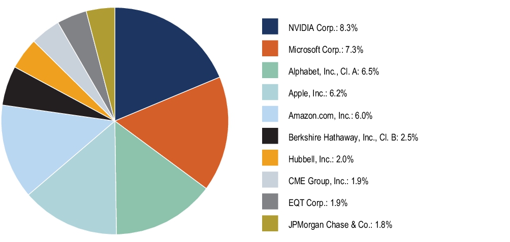 Graphical Representation - Top N Holdings Chart