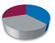 (pie chart)