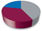 (pie chart)