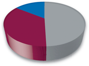 (PIE CHART)