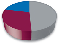 (PIE CHART)