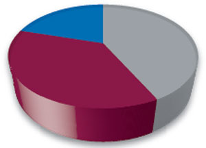 (PIE CHART)