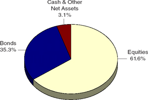 (PIE CHART)