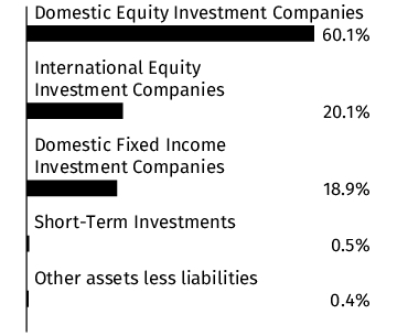 Graphical Representation - Allocation 1 Chart