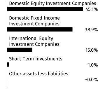 Graphical Representation - Allocation 1 Chart