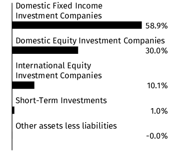 Graphical Representation - Allocation 1 Chart