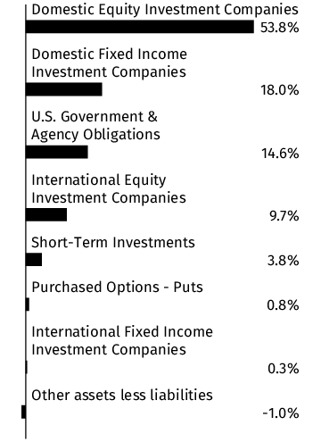 Graphical Representation - Allocation 1 Chart