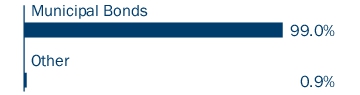 Graphical Representation - Allocation 1 Chart