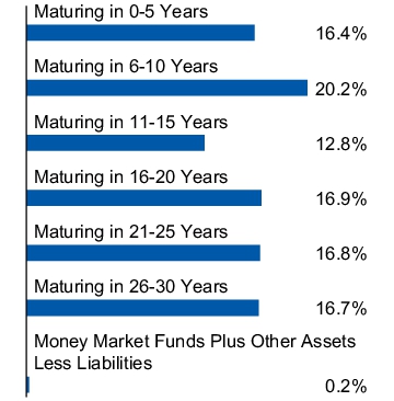 Graphical Representation - Allocation 1 Chart