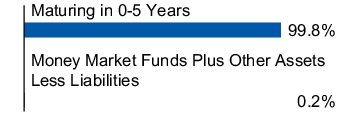 Graphical Representation - Allocation 1 Chart