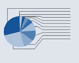 (PIE CHART)