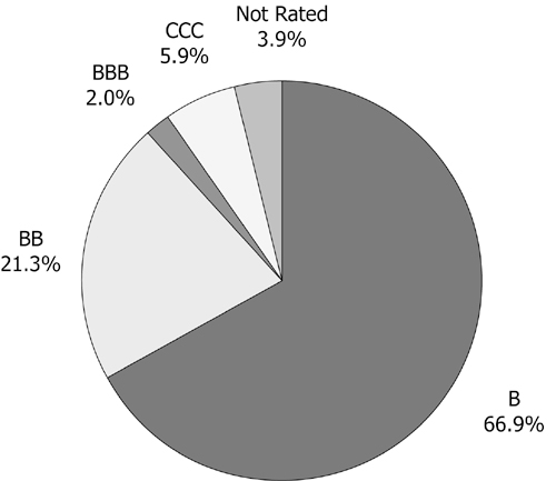 S&P Rating as a Percent of Total Investments