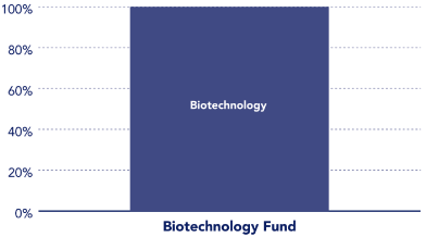 (PERFORMANCE GRAPH)